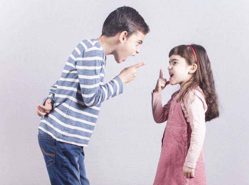 Hoe zorg je dat je kinderen minder ruzie maken?