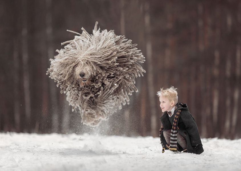 Fotoreportage: kleine kinderen, GROTE honden