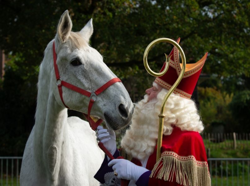 Hoe ga je om met de Sinterklaas-stress van je kind?