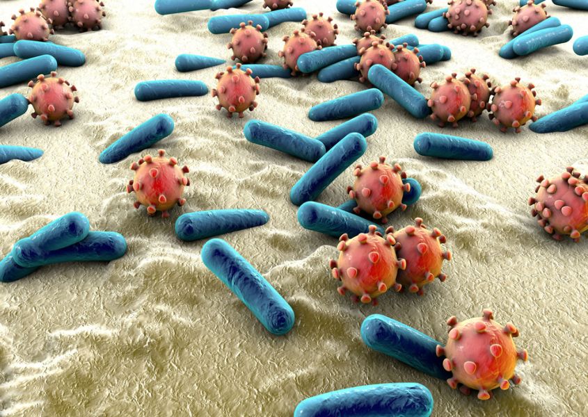 Hoe voorkom je het Cytomegalovirus tijdens de zwangerschap?