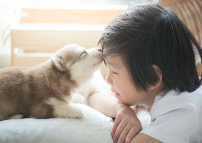 Zo schattig! Hond imiteert babygeluidjes!