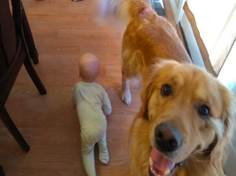 Grappig en mooi: de relatie tussen een baby en een hond