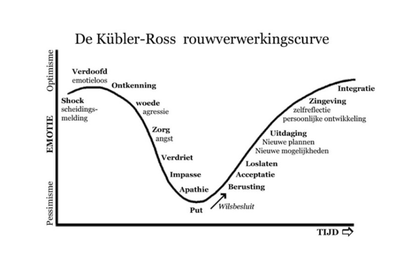 vechtscheiding